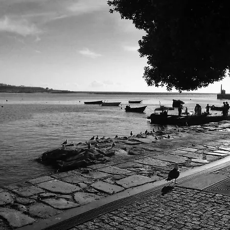 Casinha Do Rio - Uma Janela Para O Douro Διαμέρισμα Βίλα Νόβα ντε Γκάια